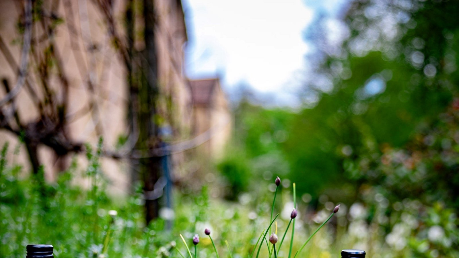 Bei der Führung im Kloster geht es auch um Genuss.  Foto: SSG/Jürgen Franke