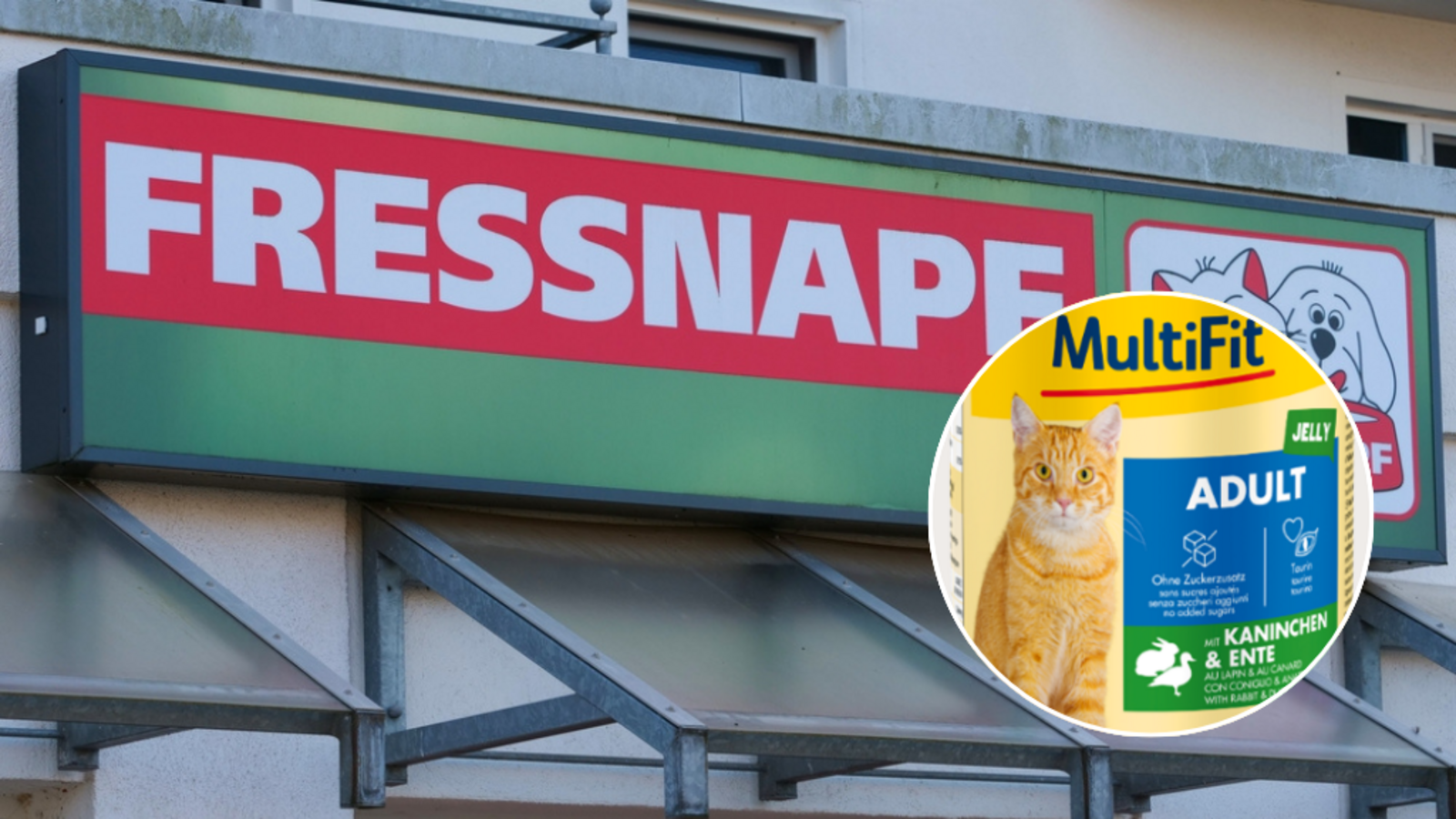 Fressnapf ruft Katzenfutter zurück.Foto: ChrisStock82/ Shutterstock und Fressnapf Tiernahrungs GmbH Fressnapf ruft Katzenfutter zurück.Foto: ChrisStock82/ Shutterstock und Fressnapf Tiernahrungs GmbH