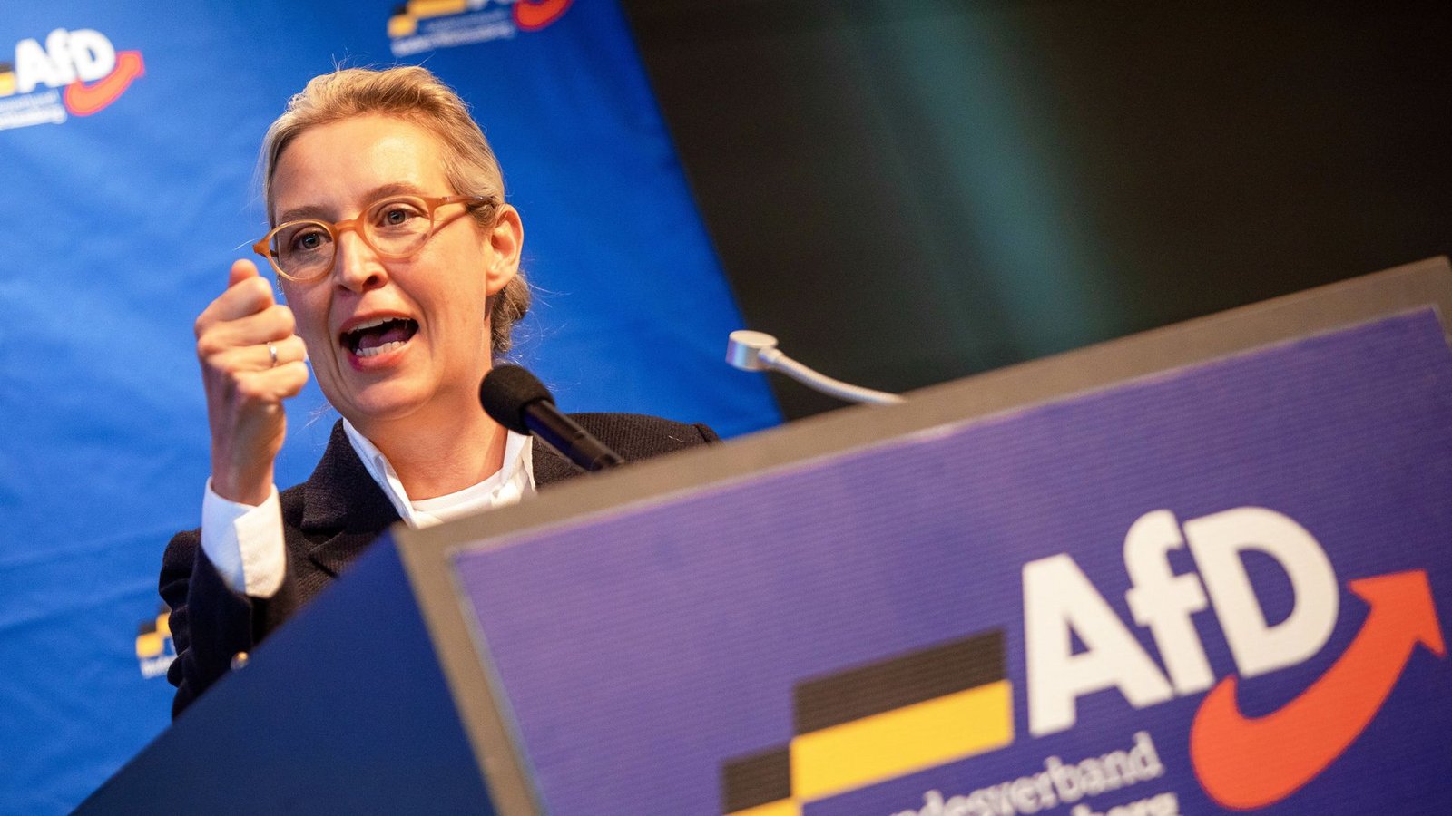Für Alice Weidel war der chaotische Landesparteitag in Rottweil ein Erfolg.Foto: dpa/Christoph Schmidt Für Alice Weidel war der chaotische Landesparteitag in Rottweil ein Erfolg.Foto: dpa/Christoph Schmidt