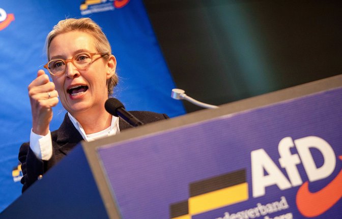 Für Alice Weidel war der chaotische Landesparteitag in Rottweil ein Erfolg.<span class='image-autor'>Foto: dpa/Christoph Schmidt</span>