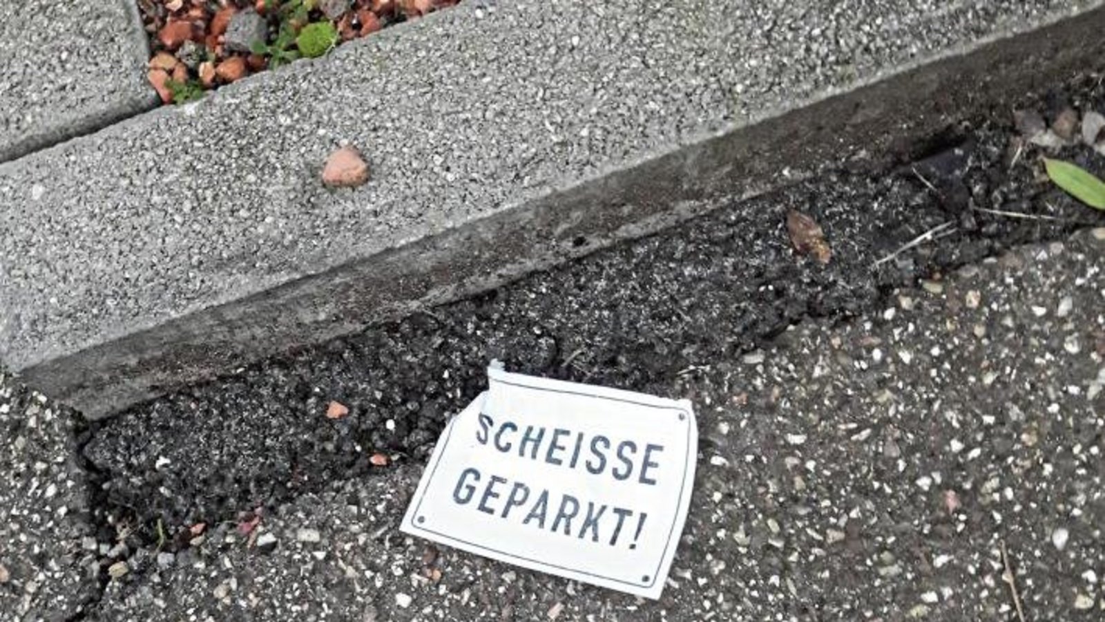 ... und genau so schlecht entsorgt. Foto: Rücker