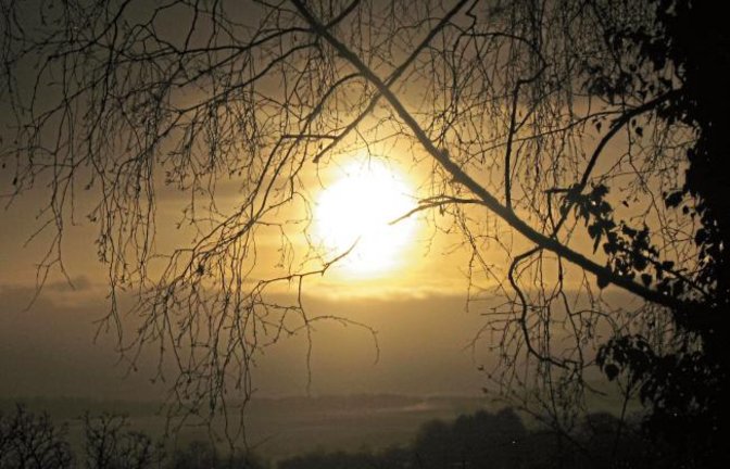 Diesen seltenen Lichtblick in einem grauen und trüben Winter hat unsere Leserin Edeltraud Karok aus Nussdorf mit der Kamera eingefangen.