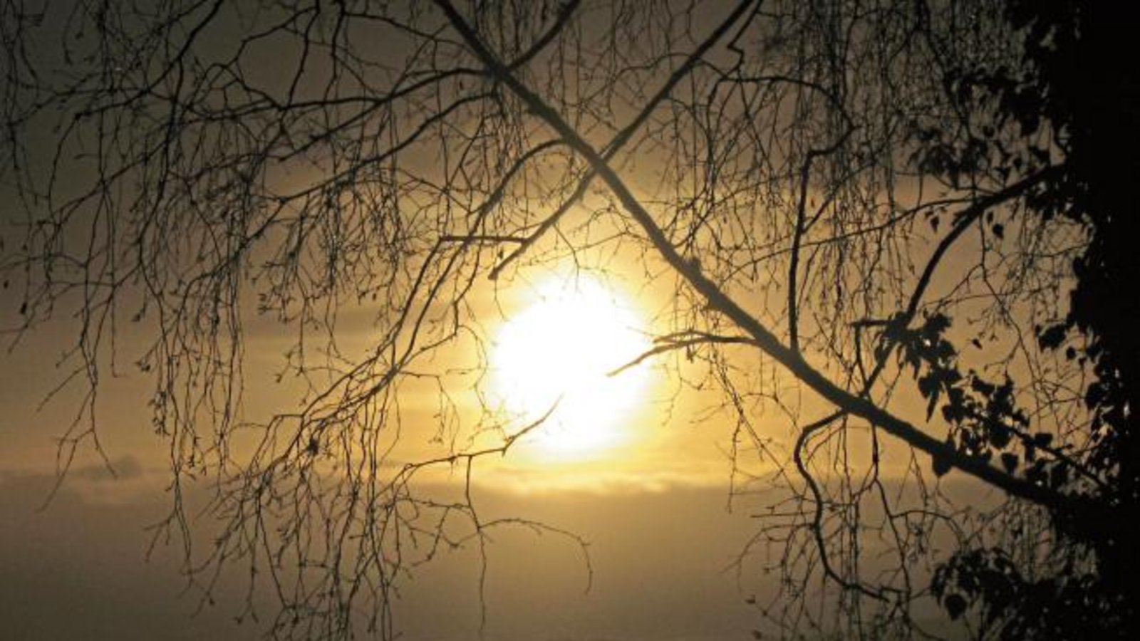 Diesen seltenen Lichtblick in einem grauen und trüben Winter hat unsere Leserin Edeltraud Karok aus Nussdorf mit der Kamera eingefangen. Diesen seltenen Lichtblick in einem grauen und trüben Winter hat unsere Leserin Edeltraud Karok aus Nussdorf mit der Kamera eingefangen.