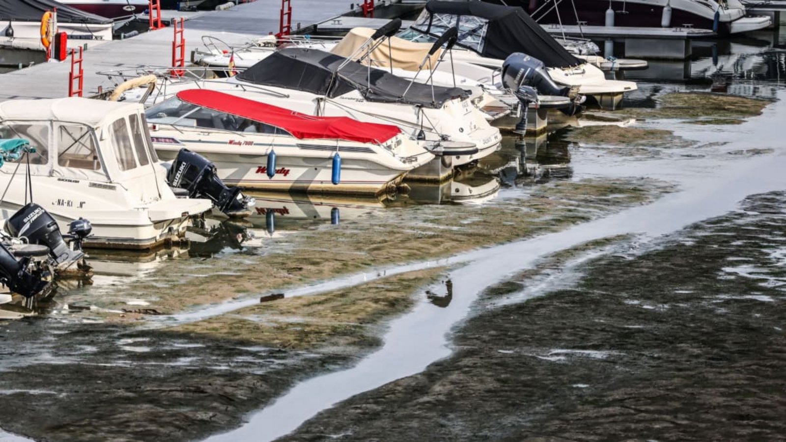 Bei Köln sank der Pegel des Rheins auf 68 Zentimeter. Ab 139 Zentimetern können Schiffe dort problemlos fahren.Oliver Berg/dpa