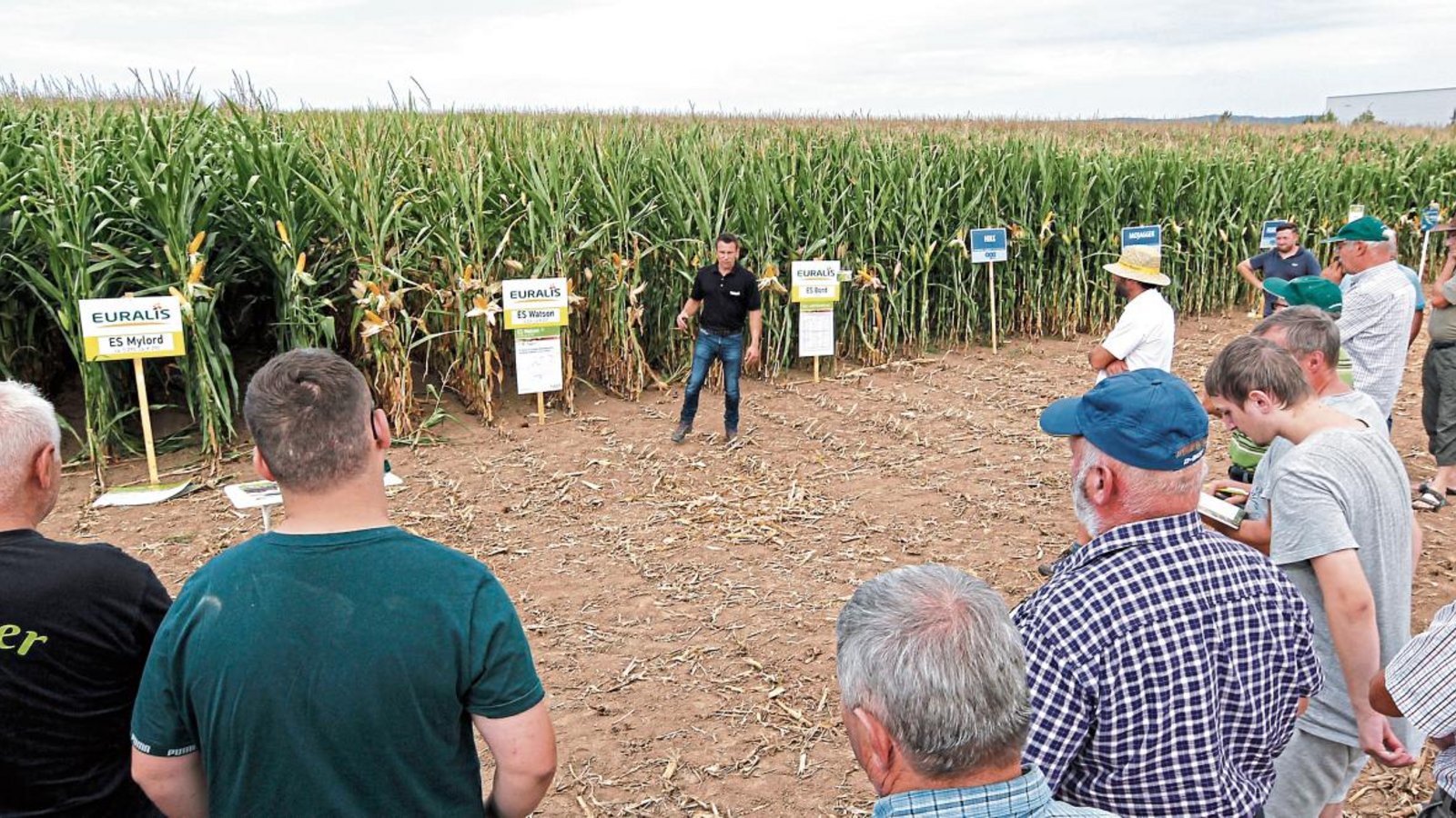 Beim Mais-Tag auf einem Versuchsfeld zwischen Mühlacker und Illingen wurden Maiserzeugern aus der Region diverse Sorten und ihre unterschiedlichen Wuchseigenschaften unter heimischen Boden- und Klimabedingungen vorgeführt. Vor dem Feld Matthias Volzer, Berater eines schleswig-holsteinischen Saatgutunternehmens. Foto: Kollros Beim Mais-Tag auf einem Versuchsfeld zwischen Mühlacker und Illingen wurden Maiserzeugern aus der Region diverse Sorten und ihre unterschiedlichen Wuchseigenschaften unter heimischen Boden- und Klimabedingungen vorgeführt. Vor dem Feld Matthias Volzer, Berater eines schleswig-holsteinischen Saatgutunternehmens. Foto: Kollros