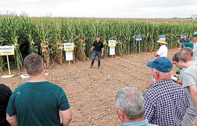 Beim Mais-Tag auf einem Versuchsfeld zwischen Mühlacker und Illingen wurden Maiserzeugern aus der Region diverse Sorten und ihre unterschiedlichen Wuchseigenschaften unter heimischen Boden- und Klimabedingungen vorgeführt. Vor dem Feld Matthias Volzer, Berater eines schleswig-holsteinischen Saatgutunternehmens.  Foto: Kollros