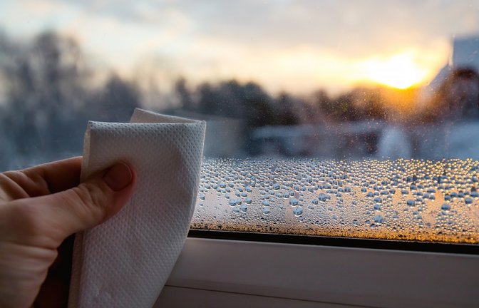 Werden die Temperaturen kälter, beschlagen manche Fenster von innen. Warum das so ist, erfahren Sie hier.<span class='image-autor'>Foto: FotoHelin / Shutterstock.com</span>