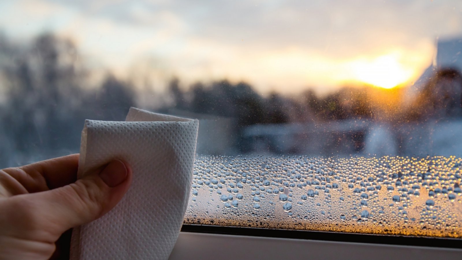 Werden die Temperaturen kälter, beschlagen manche Fenster von innen. Warum das so ist, erfahren Sie hier.Foto: FotoHelin / Shutterstock.com Werden die Temperaturen kälter, beschlagen manche Fenster von innen. Warum das so ist, erfahren Sie hier.Foto: FotoHelin / Shutterstock.com