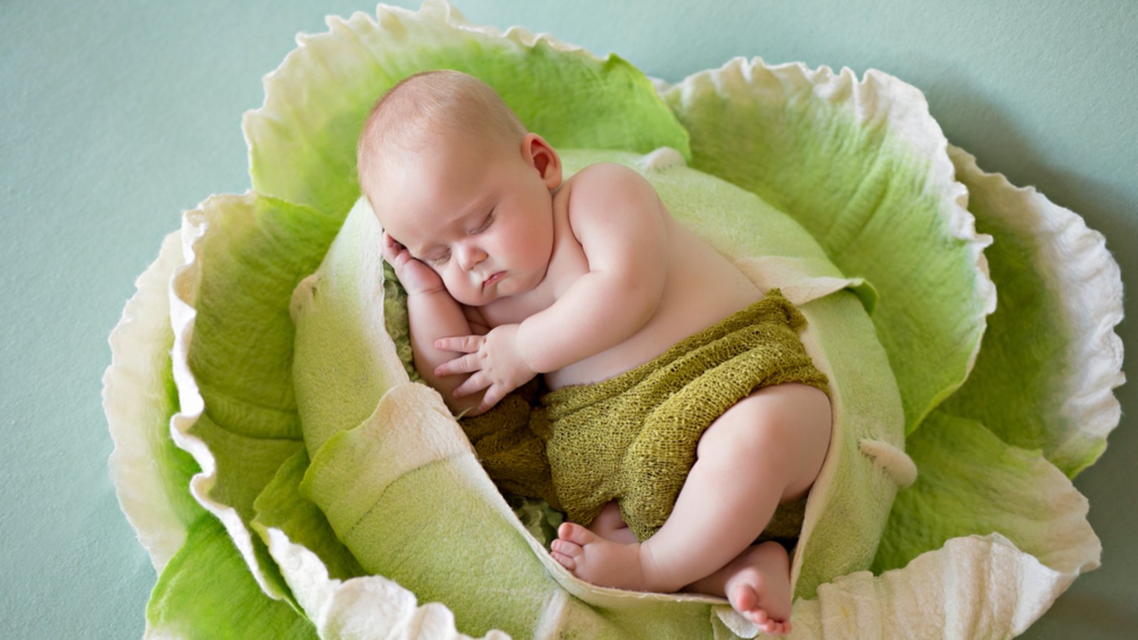 In Frankreich wachsen die Babys (vor allem Jungen) aus Kohlköpfen.Foto: Anna-Kharchenko/ Shutterstock In Frankreich wachsen die Babys (vor allem Jungen) aus Kohlköpfen.Foto: Anna-Kharchenko/ Shutterstock