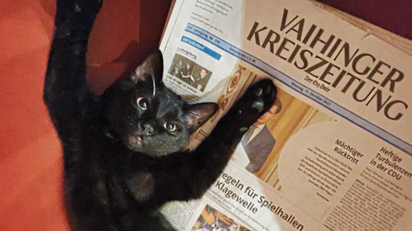Kater Findus fühlt sich wohl mit der VKZ, schreibt Familie Spielmann zu ihrem Foto. Vielleicht ist er auch erschöpft vom Lesen. Kater Findus fühlt sich wohl mit der VKZ, schreibt Familie Spielmann zu ihrem Foto. Vielleicht ist er auch erschöpft vom Lesen.