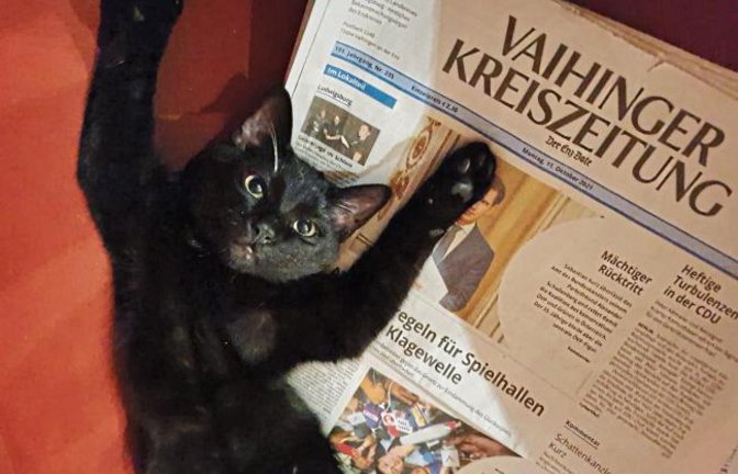 Kater Findus fühlt sich wohl mit der VKZ, schreibt Familie Spielmann zu ihrem Foto. Vielleicht ist er auch erschöpft vom Lesen.