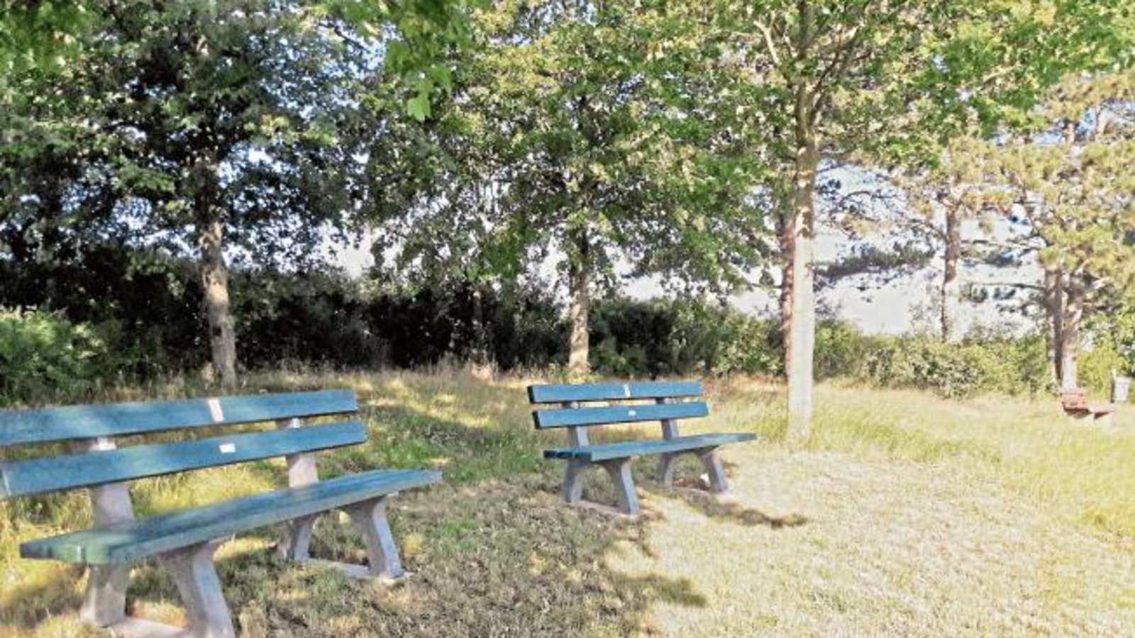 Blick auf Vaihingen: Zwei neue Bänke stehen auf der Anhöhe zwischen Aurich und Nussdorf. Es handelt sich um die Bänke drei und vier, die dieses Jahr gespendet wurden, ist von Stadtsprecherin Martina Fischer zu erfahren. Die Bänke seien aus Recyclingmaterial gefertigt. Da dort verbotenerweise immer wieder ein Lagerfeuer entfacht wird, wird das Amt für Technische Dienste ein Schild aufstellen, das auf das Verbot hinweist. Foto: Rücker Blick auf Vaihingen: Zwei neue Bänke stehen auf der Anhöhe zwischen Aurich und Nussdorf. Es handelt sich um die Bänke drei und vier, die dieses Jahr gespendet wurden, ist von Stadtsprecherin Martina Fischer zu erfahren. Die Bänke seien aus Recyclingmaterial gefertigt. Da dort verbotenerweise immer wieder ein Lagerfeuer entfacht wird, wird das Amt für Technische Dienste ein Schild aufstellen, das auf das Verbot hinweist. Foto: Rücker