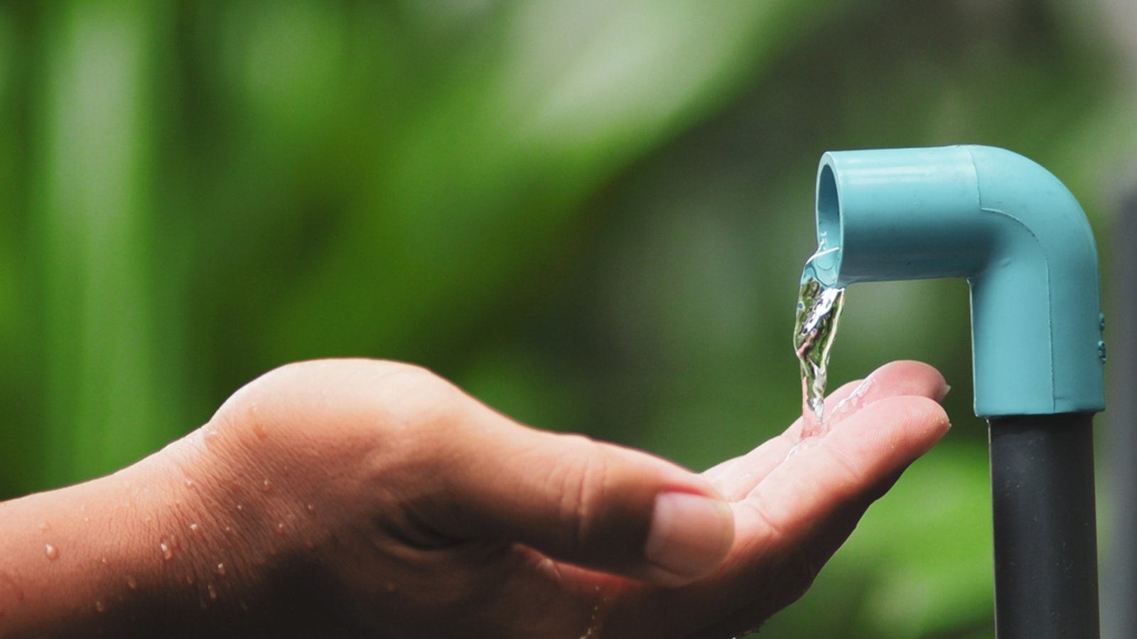 Mit diesen Tipps lässt sich Wasser sparen.Foto: i am adventure / shutterstock.com