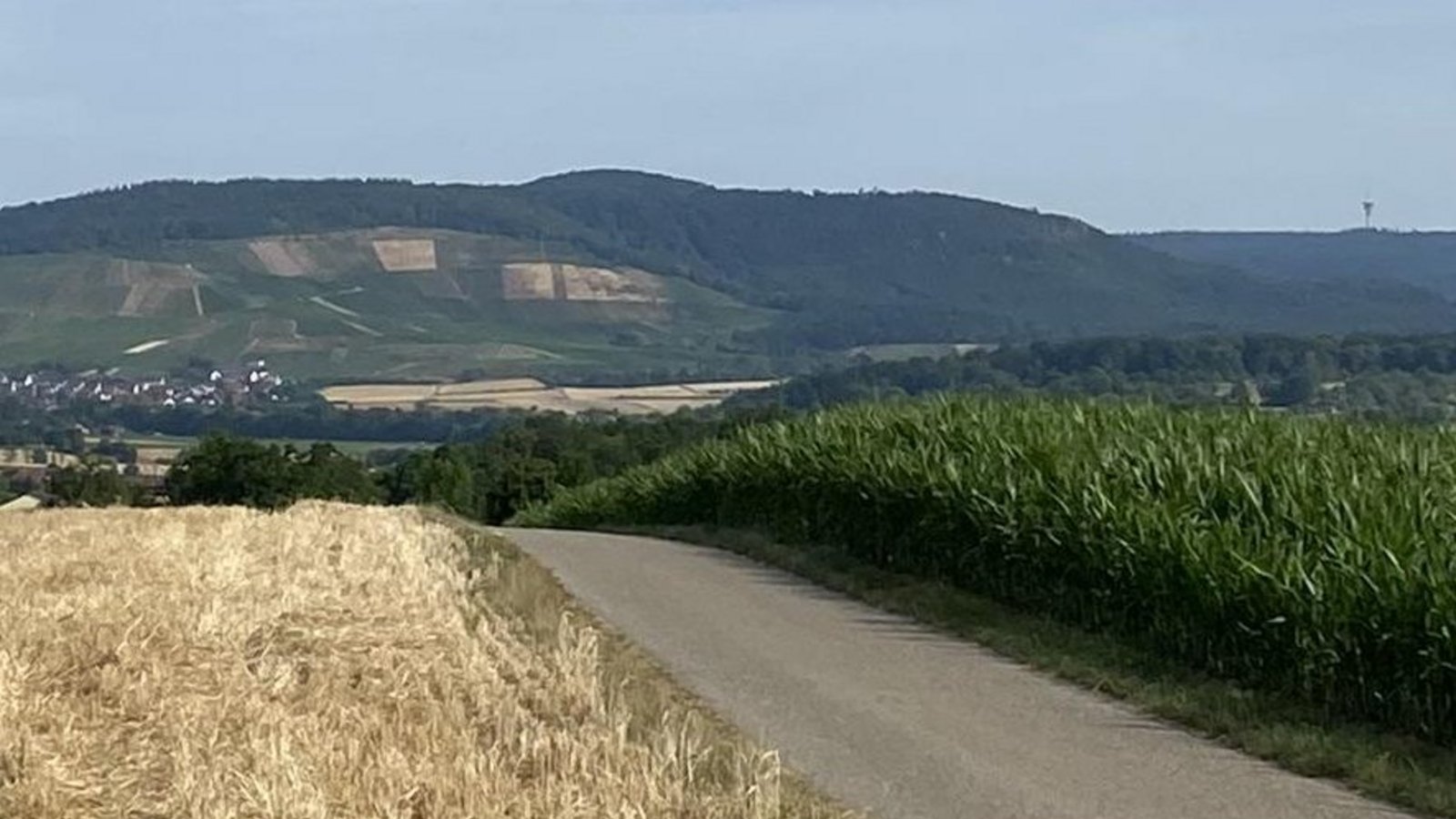 Felder, Äcker und ein Blick auf Sersheim machen die Wandertour noch schöner. 