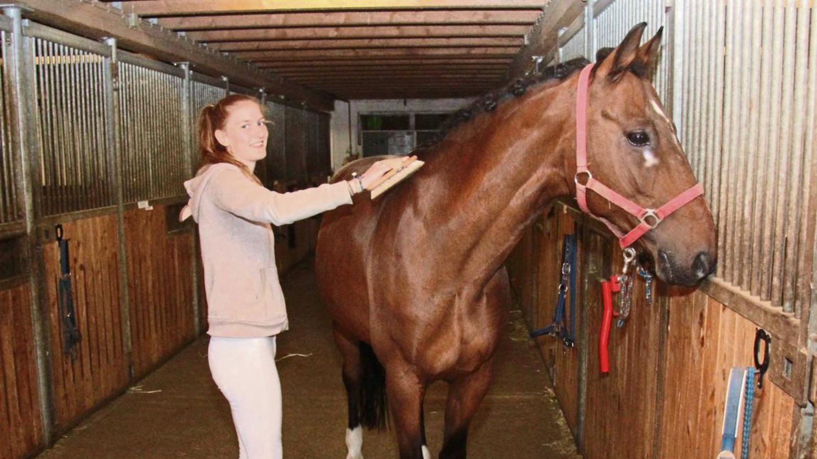 Der Umgang mit den Pferden wie die Fellpflege gehört zu den Hauptaufgaben der 16 Jahre alten Mandy Schwamberg, die beim RFZV Nussdorf die Ausbildung zur Pferdewirtin mit dem Schwerpunkt klassische Reitweise absolviert. Foto: Nachreiner Der Umgang mit den Pferden wie die Fellpflege gehört zu den Hauptaufgaben der 16 Jahre alten Mandy Schwamberg, die beim RFZV Nussdorf die Ausbildung zur Pferdewirtin mit dem Schwerpunkt klassische Reitweise absolviert. Foto: Nachreiner