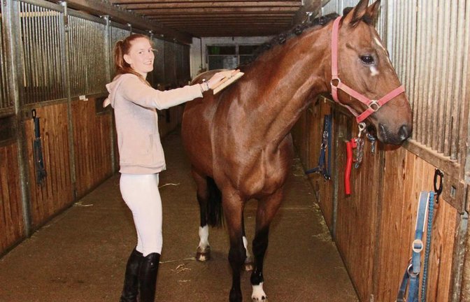 Der Umgang mit den Pferden wie die Fellpflege gehört zu den Hauptaufgaben der 16 Jahre alten Mandy Schwamberg, die beim RFZV Nussdorf die Ausbildung zur Pferdewirtin mit dem Schwerpunkt klassische Reitweise absolviert. Foto: Nachreiner
