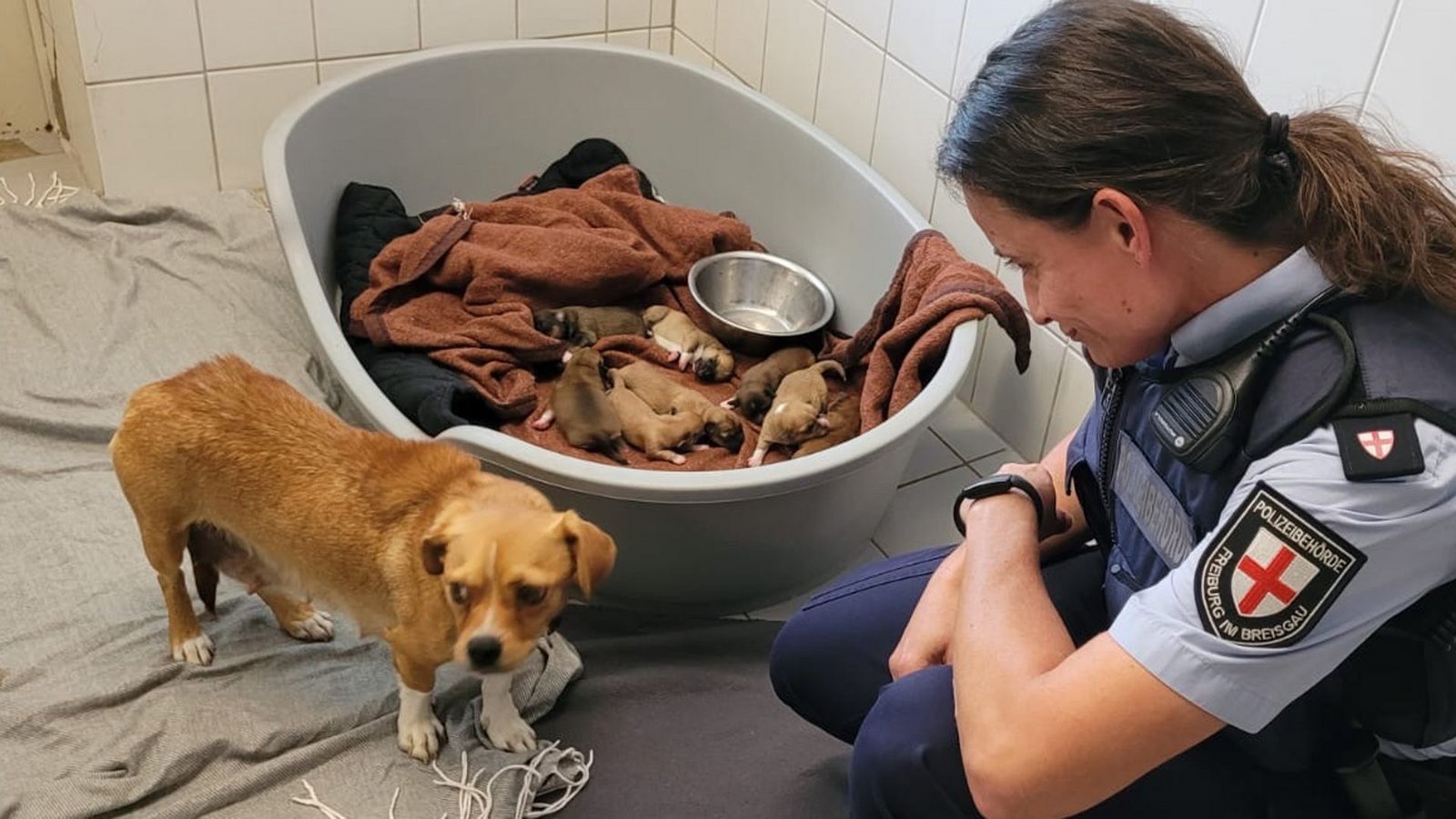 So klein – und schon sollten sie von ihrer Hundemama getrennt werden.Foto: Stadt Freiburg