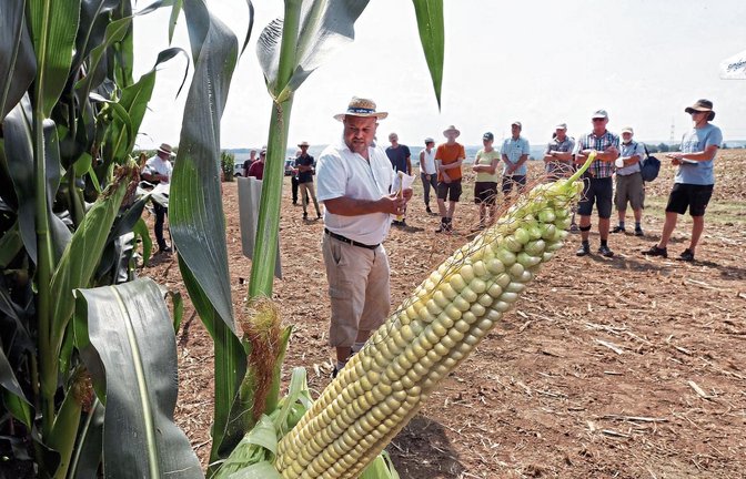 Beim 27. Maistag haben Dutzende Landwirte in Oberriexingen die Sortenschau besucht, die von Referenten erläutert wurde. Fotos: Küppers