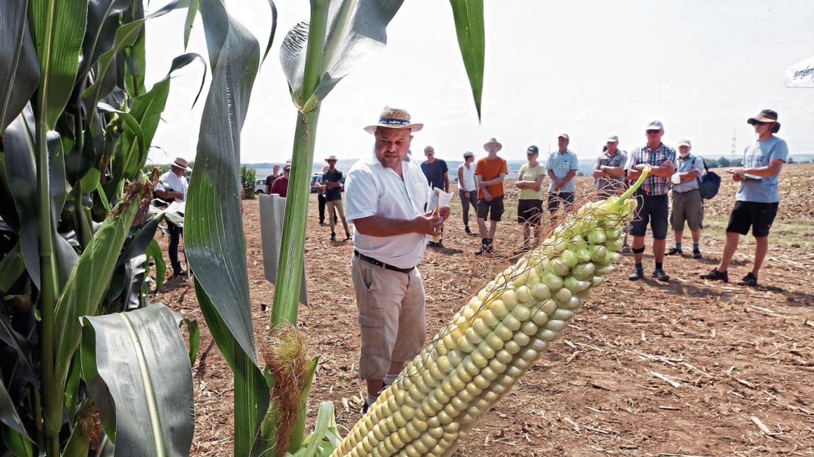 Beim 27. Maistag haben Dutzende Landwirte in Oberriexingen die Sortenschau besucht, die von Referenten erläutert wurde. Fotos: Küppers