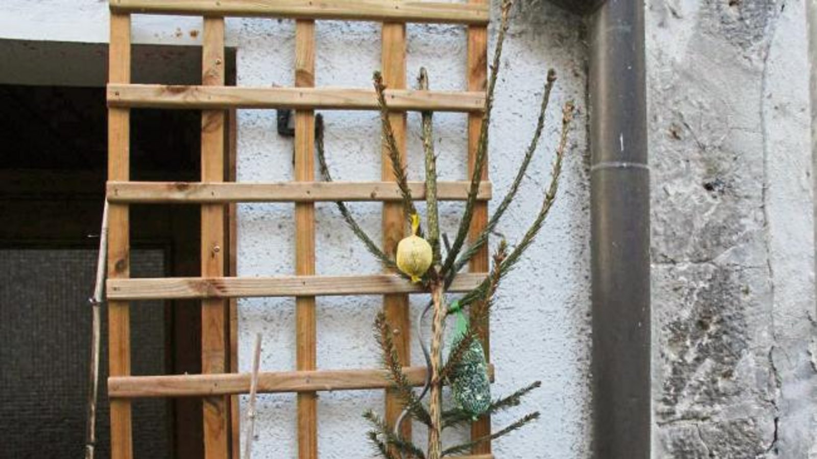 Was tun mit dem alten Christbaum? In Vaihingen gibt’s kreative Vorschläge. Foto: Rostek