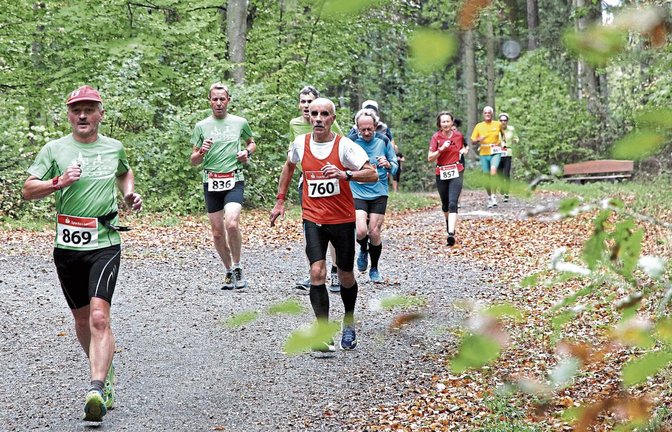 Dürreschäden und die Gefahr abstürzender Äste führen dazu, dass der Heckengäulauf bei seiner Jubiläumsausgabe morgen nur noch zu einem kleinen Teil durch den Wald führt. Foto: Küppers