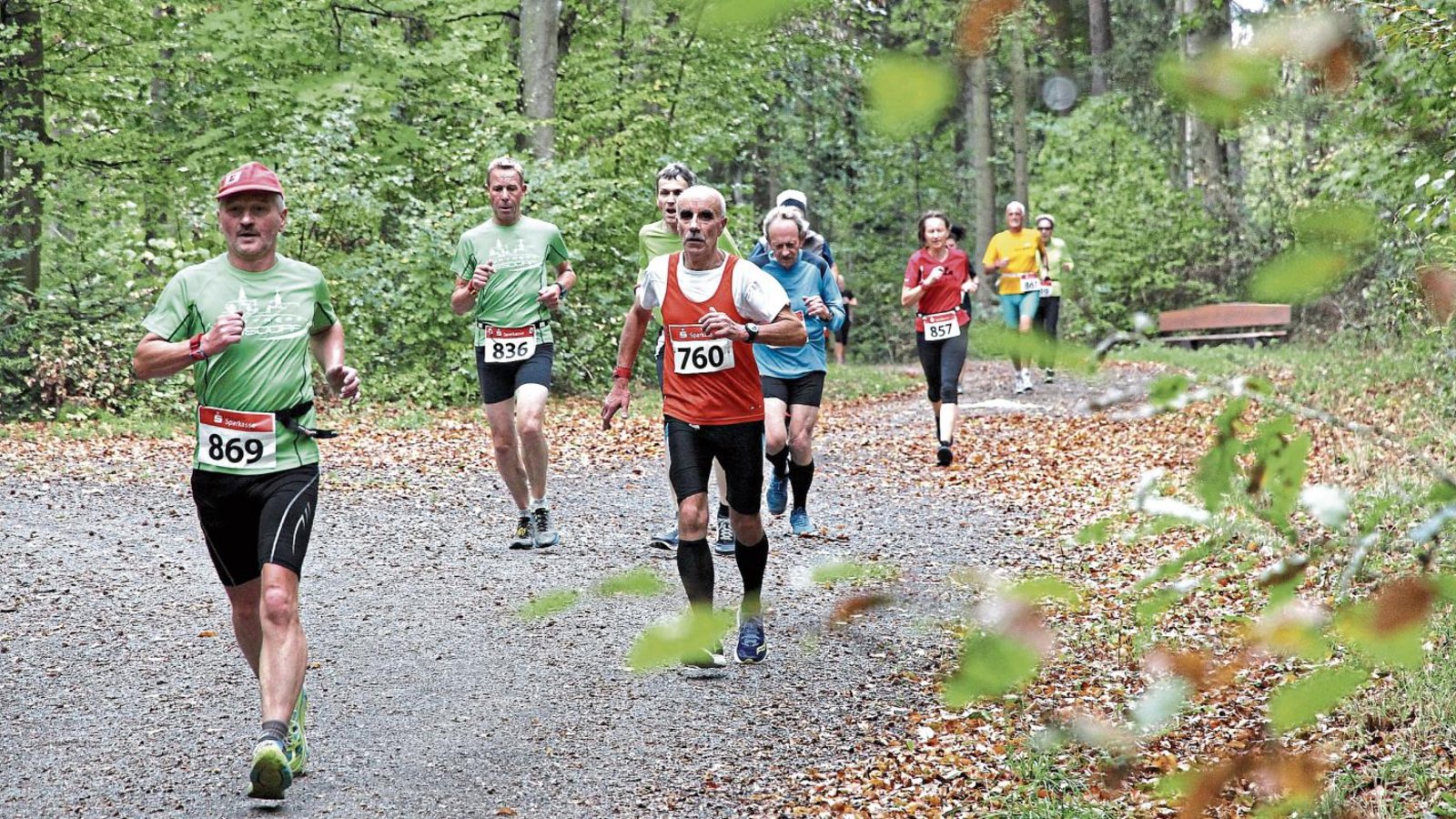 Dürreschäden und die Gefahr abstürzender Äste führen dazu, dass der Heckengäulauf bei seiner Jubiläumsausgabe morgen nur noch zu einem kleinen Teil durch den Wald führt. Foto: Küppers