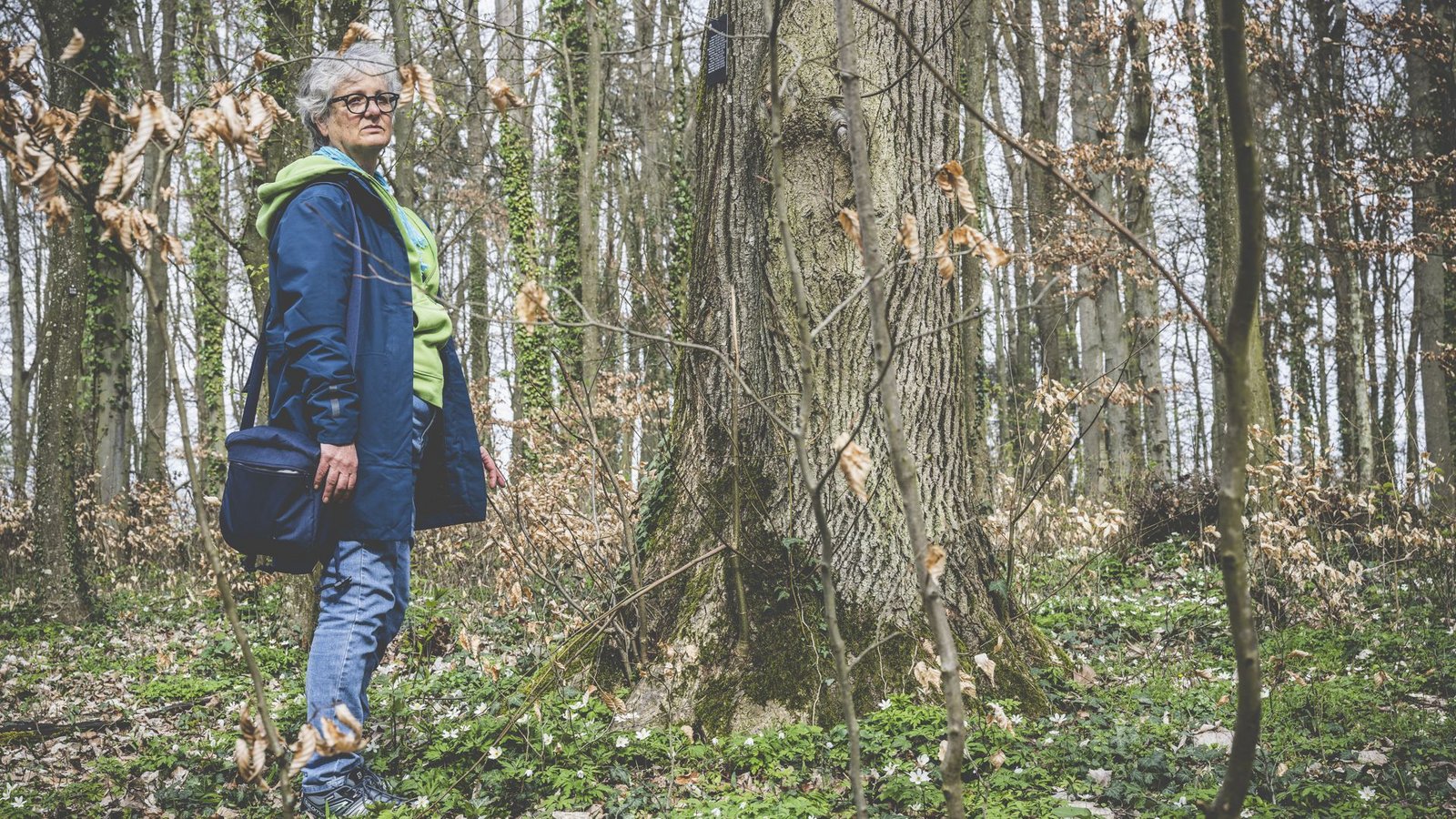 Letzte Ruhe unter der Linde im Friedwald. Hier ist ihr Bruder gut aufgehoben, findet Ute.Foto: © sichtlichmensch/ Andreas Reiner Letzte Ruhe unter der Linde im Friedwald. Hier ist ihr Bruder gut aufgehoben, findet Ute.Foto: © sichtlichmensch/ Andreas Reiner