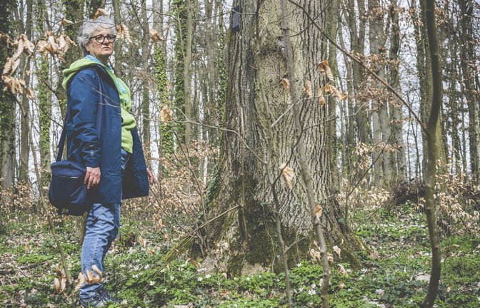 Letzte Ruhe unter der Linde im Friedwald. Hier ist ihr Bruder gut aufgehoben, findet Ute.<span class='image-autor'>Foto: © sichtlichmensch/ Andreas Reiner</span>