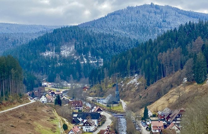 Schönmünzach grenzt schon heute an den Nationalpark, künftig wird alles westlich des Ortes (Blickrichtung des Bildes) dazu gehören.<span class='image-autor'>Foto: Faltin</span>