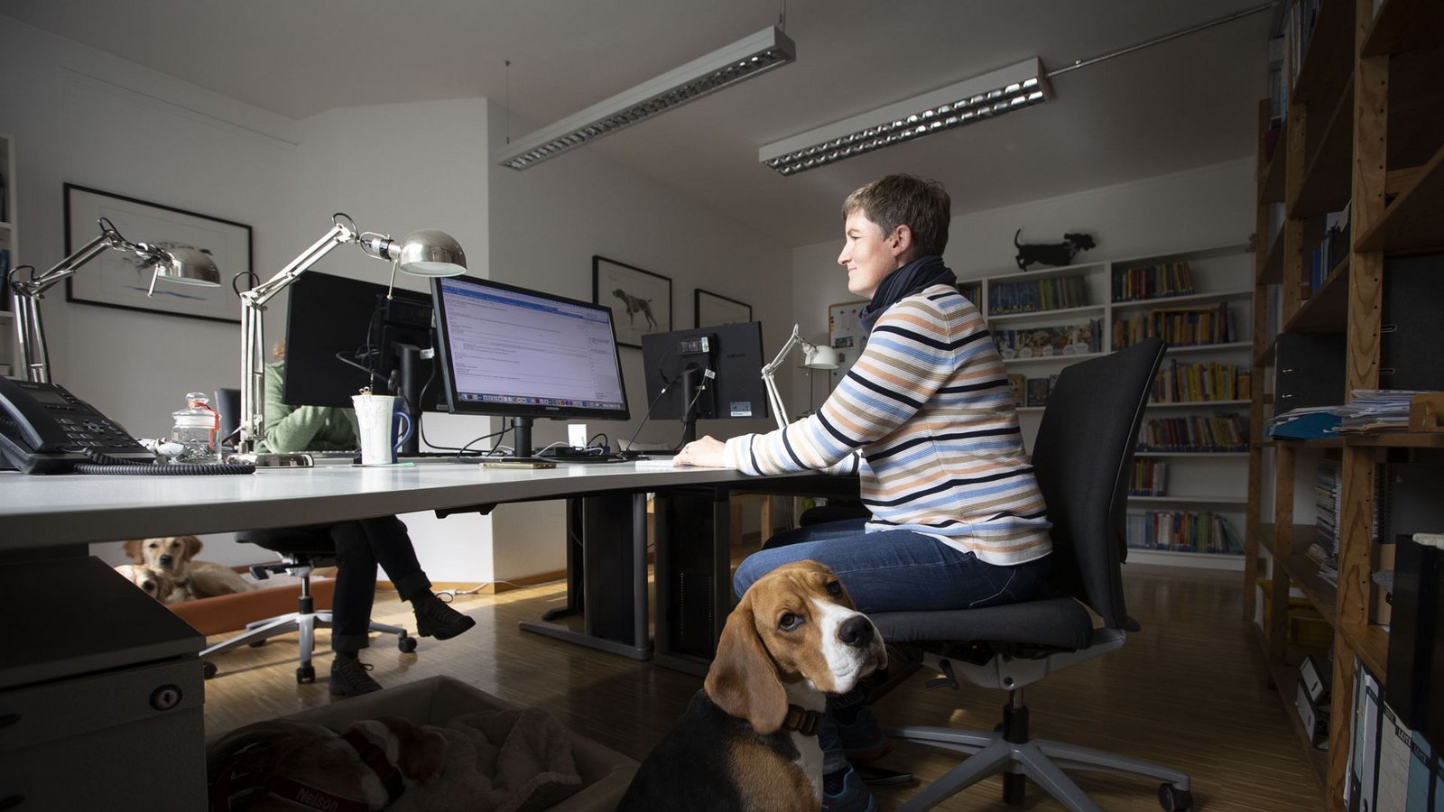 Bürohund Matze und seine Besitzerin Alice Rieger bei der Arbeit.Foto: Lichtgut/Leif Piechowski