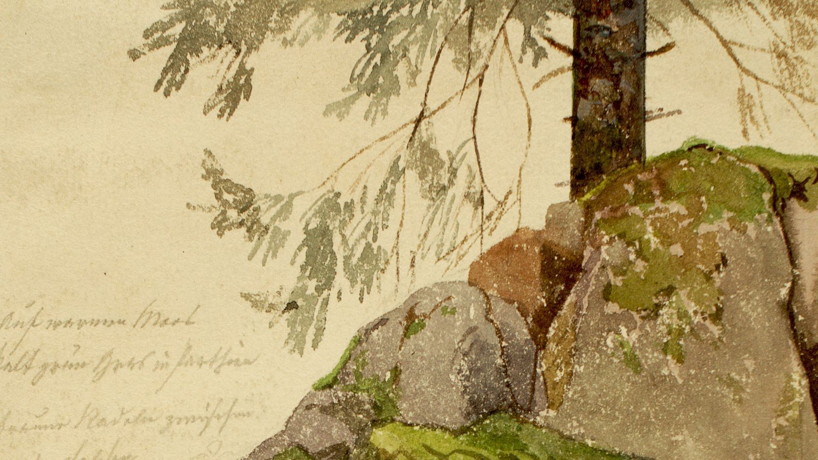 „Felsen mit Tanne“Foto: Kunstmuseum Reutlingen/Ralf Gottschlich „Felsen mit Tanne“Foto: Kunstmuseum Reutlingen/Ralf Gottschlich