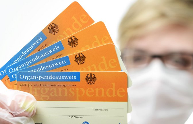 Immer mehr Menschen haben einen Spende-Ausweis. Zu  deutlich mehr Transplantationen führt das aber nicht.<span class='image-autor'>Foto: picture alliance/dpa/David-Wolfgang Ebener</span>