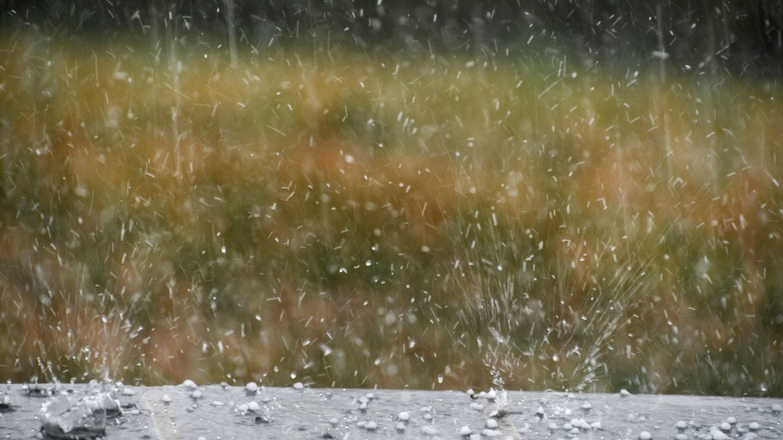 Örtlich kann es am Dienstag wieder hageln in Baden-Württemberg.Foto: MargJohnsonVA/ Shutterstock