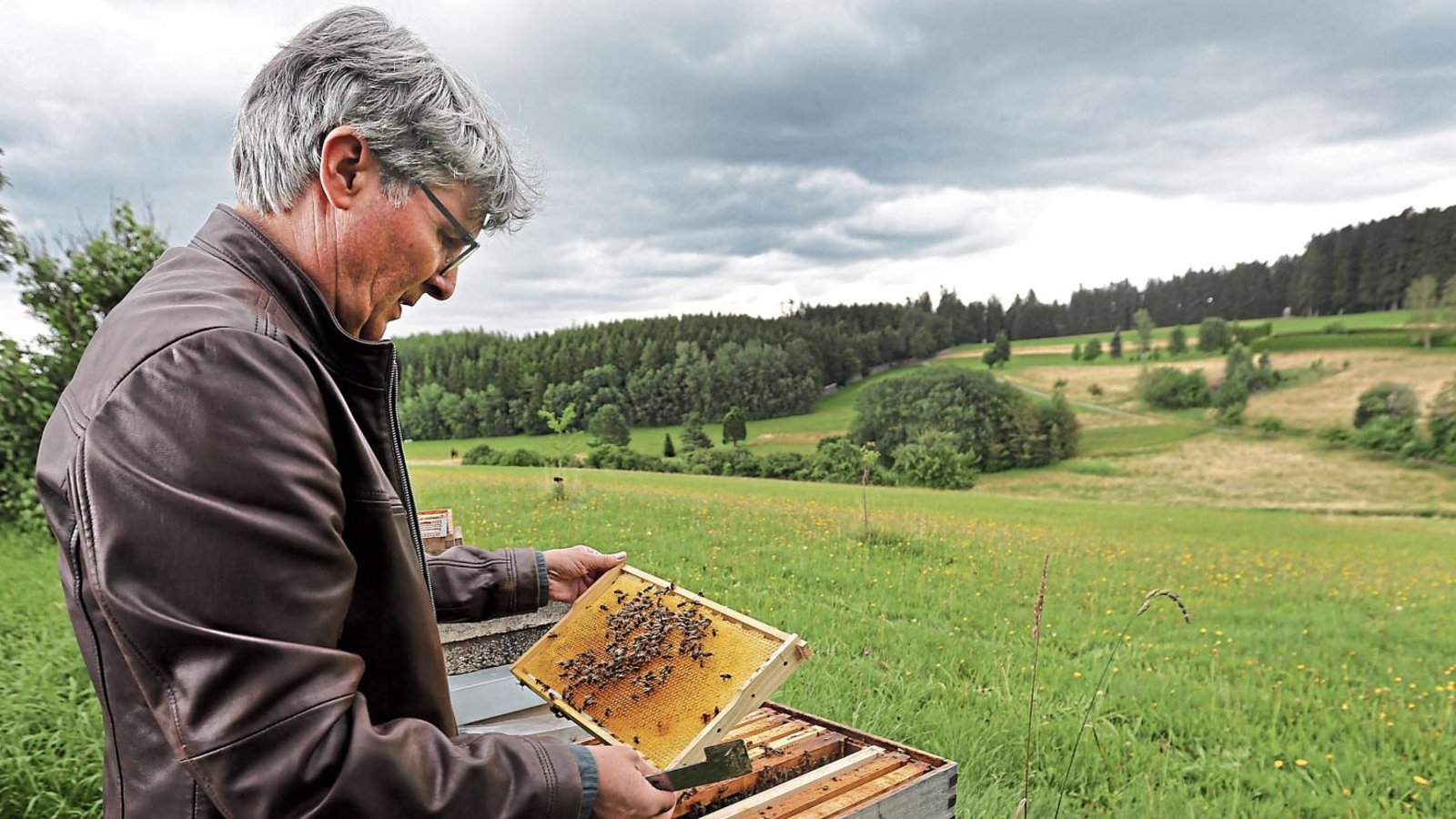 Panoramablick und Bienenstöcke – Armin Pioch genießt die Zeit, die er als Bürgermeister von Grömbach im Kreis Freudenstadt noch hat. In gut einem Monat wird er sein neues Amt in Illingen antreten. Fotos: Küppers Panoramablick und Bienenstöcke – Armin Pioch genießt die Zeit, die er als Bürgermeister von Grömbach im Kreis Freudenstadt noch hat. In gut einem Monat wird er sein neues Amt in Illingen antreten. Fotos: Küppers