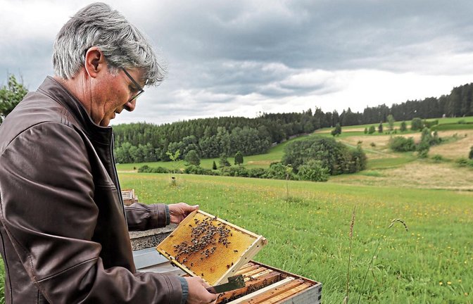 Panoramablick und Bienenstöcke – Armin Pioch genießt die Zeit, die er als Bürgermeister von Grömbach im Kreis Freudenstadt noch hat. In gut einem Monat wird er sein neues Amt in Illingen antreten. Fotos: Küppers