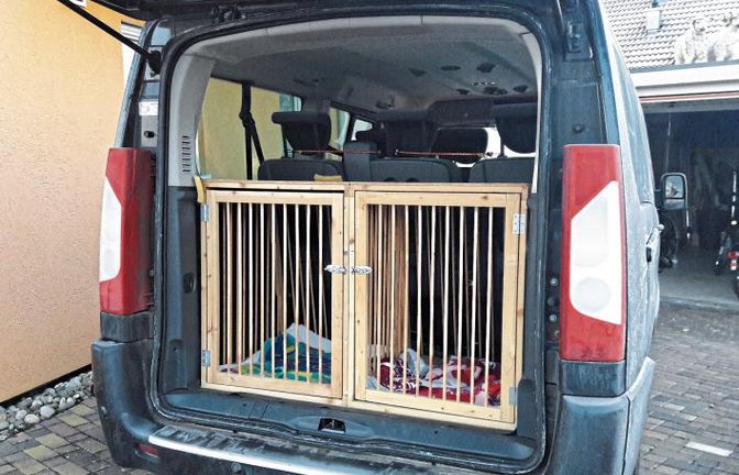 Über diese passgenauen Hundeboxen, von Opa gebaut, freut sich Familie Wernstedt aus Aurich. Wäre ja vielleicht ein Tipp für ein Weihnachtsgeschenk. Foto: Rücker