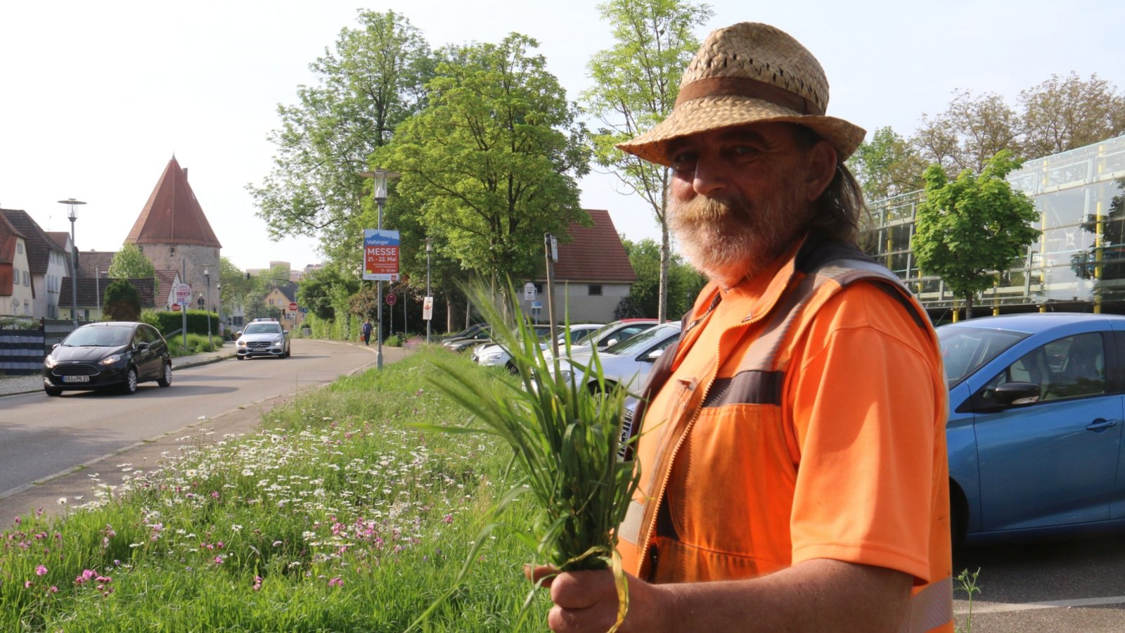 Mäuse-Gerste – die ist Bernd Boosz vom Bauhof ein Dorn im Auge. Ansonsten werde die Blumenwiese, die sich am Köpfwiesenparkplatz entwickelt hat, gefördert. Foto: Rücker Mäuse-Gerste – die ist Bernd Boosz vom Bauhof ein Dorn im Auge. Ansonsten werde die Blumenwiese, die sich am Köpfwiesenparkplatz entwickelt hat, gefördert. Foto: Rücker