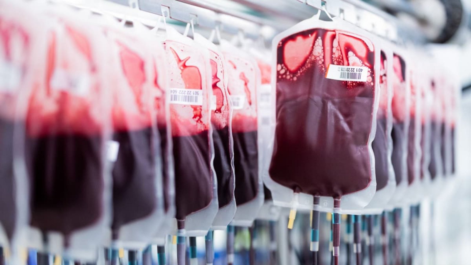 In Baden-Württemberg und Hessen werden täglich rund 3.000 Blutspenden benötigt.Rolf Vennenbernd/dpa In Baden-Württemberg und Hessen werden täglich rund 3.000 Blutspenden benötigt.Rolf Vennenbernd/dpa