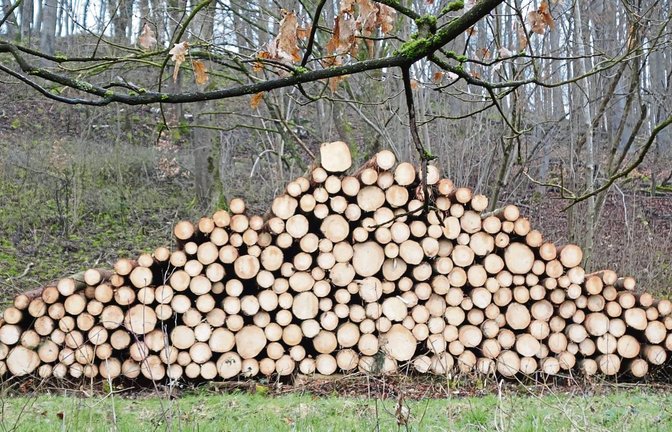 Bilder wie diese wird es in Oberriexingen dieses Jahr wohl keine geben. Für das Holz im Wald der Enzstadt fällt in dieser Saison kein Hieb.  Foto: Archiv
