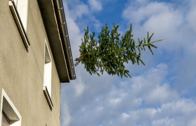Schmeißen die Schweden an "Knut" wirklich den Weihnachtsbaum aus dem Fenster?<span class='image-autor'>Foto: Gabor Tinz/ Shutterstock</span>