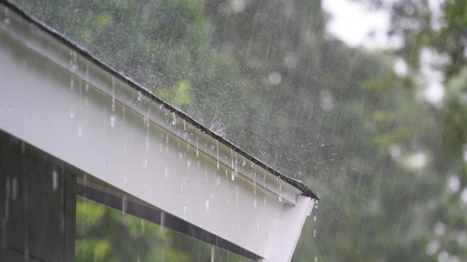 In einigen Regionen Deutschlands droht heute Starkregen.Foto: ND700 / shutterstock.com In einigen Regionen Deutschlands droht heute Starkregen.Foto: ND700 / shutterstock.com