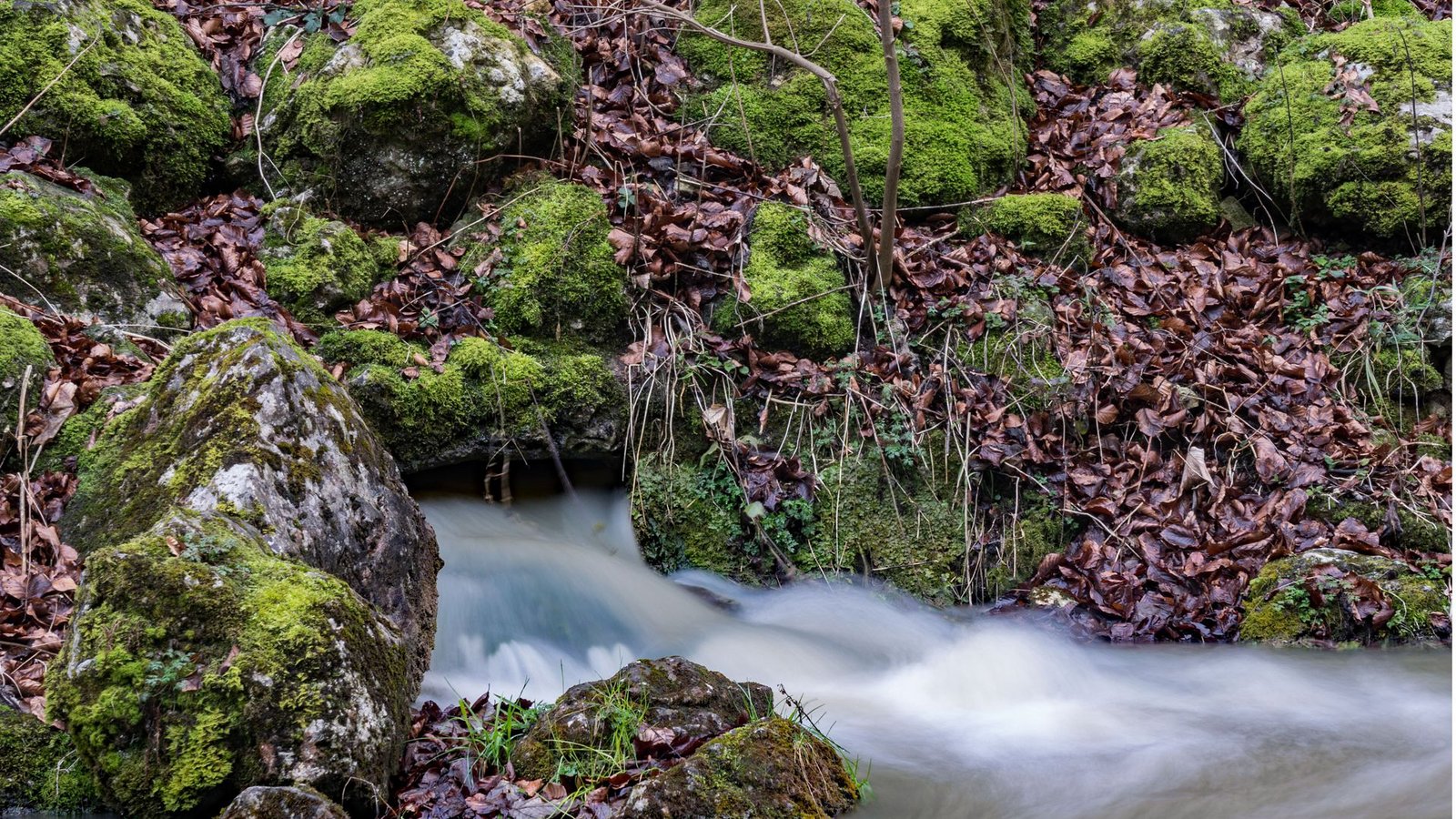 Tendenziell nimmt das Grund- und Quellwasser in Baden-Württemberg ab – im Bild ist die Echazquelle bei Lichtenstein zu sehen.Foto: Faltin