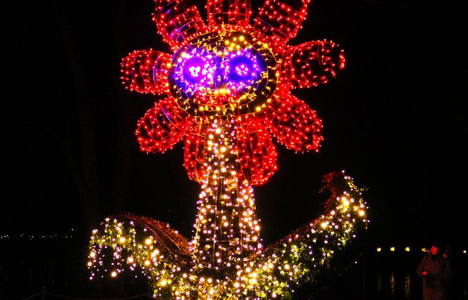 Auch diese Blume aus Licht gehört zum Christman Garden.<span class='image-autor'>Foto: /Uli Fricker</span>