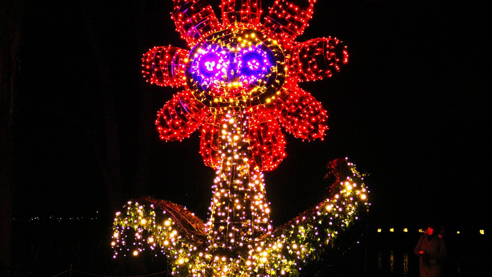 Auch diese Blume aus Licht gehört zum Christman Garden.Foto: /Uli Fricker Auch diese Blume aus Licht gehört zum Christman Garden.Foto: /Uli Fricker