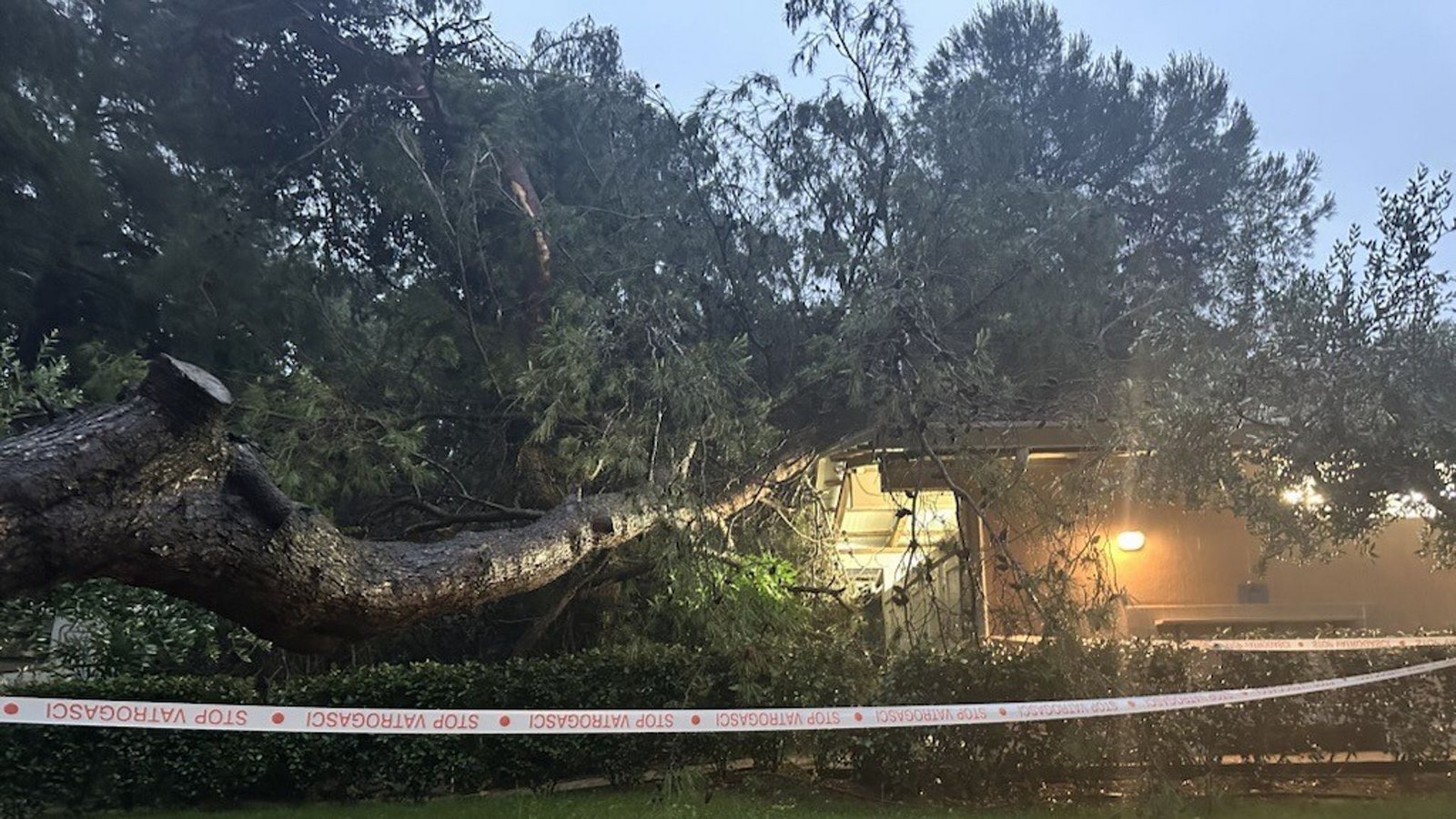 Das schwere Unwetter in Istrien hat Pula Bäume entwurzelt – wie hier bei Pula – und für Überschwemmungen gesorgt.Foto: Privat Das schwere Unwetter in Istrien hat Pula Bäume entwurzelt – wie hier bei Pula – und für Überschwemmungen gesorgt.Foto: Privat