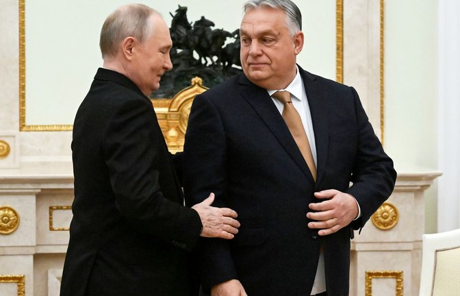 Kremlchef Wladimir Putin lässt auf Bitte des ungarischen Ministerpräsidenten Viktor Orban zwei Kriegsgefangene frei. (Archivbild)<span class='image-autor'>Foto: Alexander Nemenov/Pool AFP via AP/dpa</span>