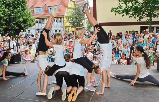 Bei den Vorführungen im Rahmen des Illinger Dorf- und Kelterfests herrschte Hochbetrieb vor der Bühne.  Fotos: Stahlfeld
