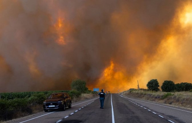 Dichter Rauch ist während eines Waldbrandes am Rande einer Landstraße im Naturpark Arribes del Duero im spanischen Fermoselle zu sehen.<span class='image-autor'>Paloma V. Escarpa/EUROPA PRESS/dpa</span>