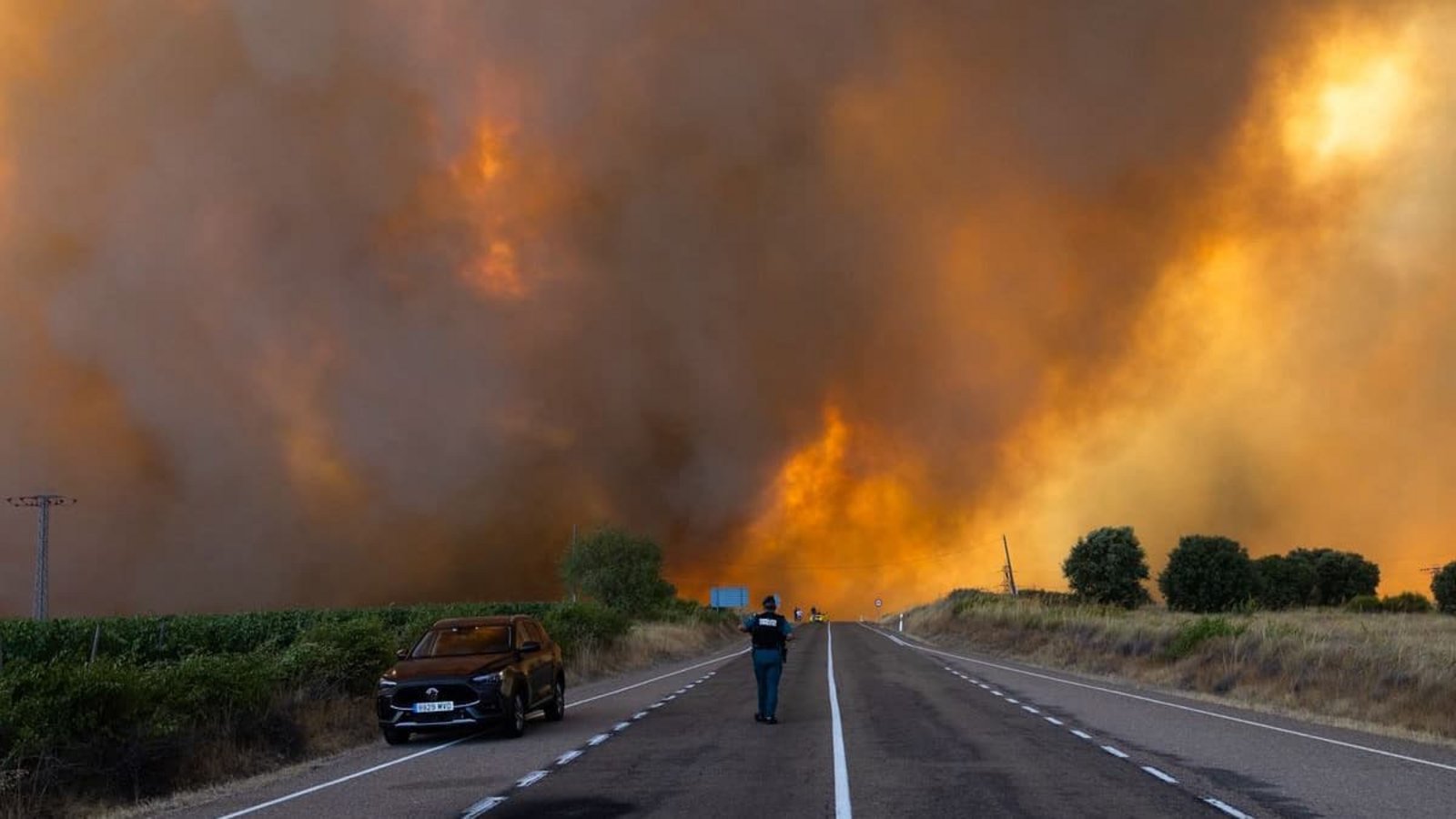 Dichter Rauch ist während eines Waldbrandes am Rande einer Landstraße im Naturpark Arribes del Duero im spanischen Fermoselle zu sehen.Paloma V. Escarpa/EUROPA PRESS/dpa