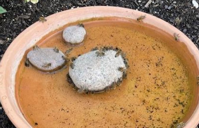 „Die Bienen suchen auch das (kühle) Nass“, schreibt Klaus-Peter Hilgers zu seinem Foto, das zeigt, wie gut eine Schale Wasser im Tierreich ankommt.
